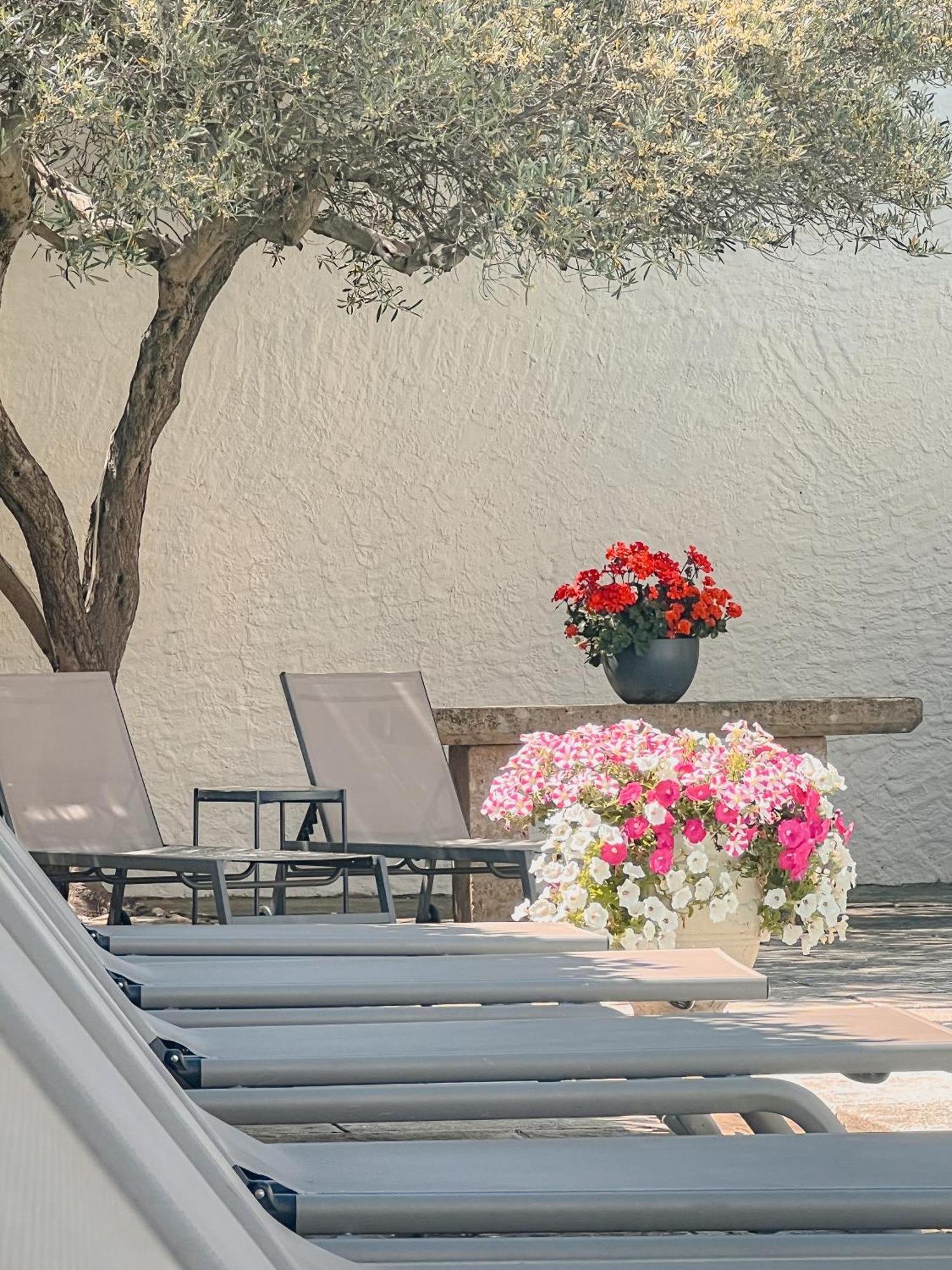 Hotel Les Magnanarelles Maussane les Alpilles Ngoại thất bức ảnh